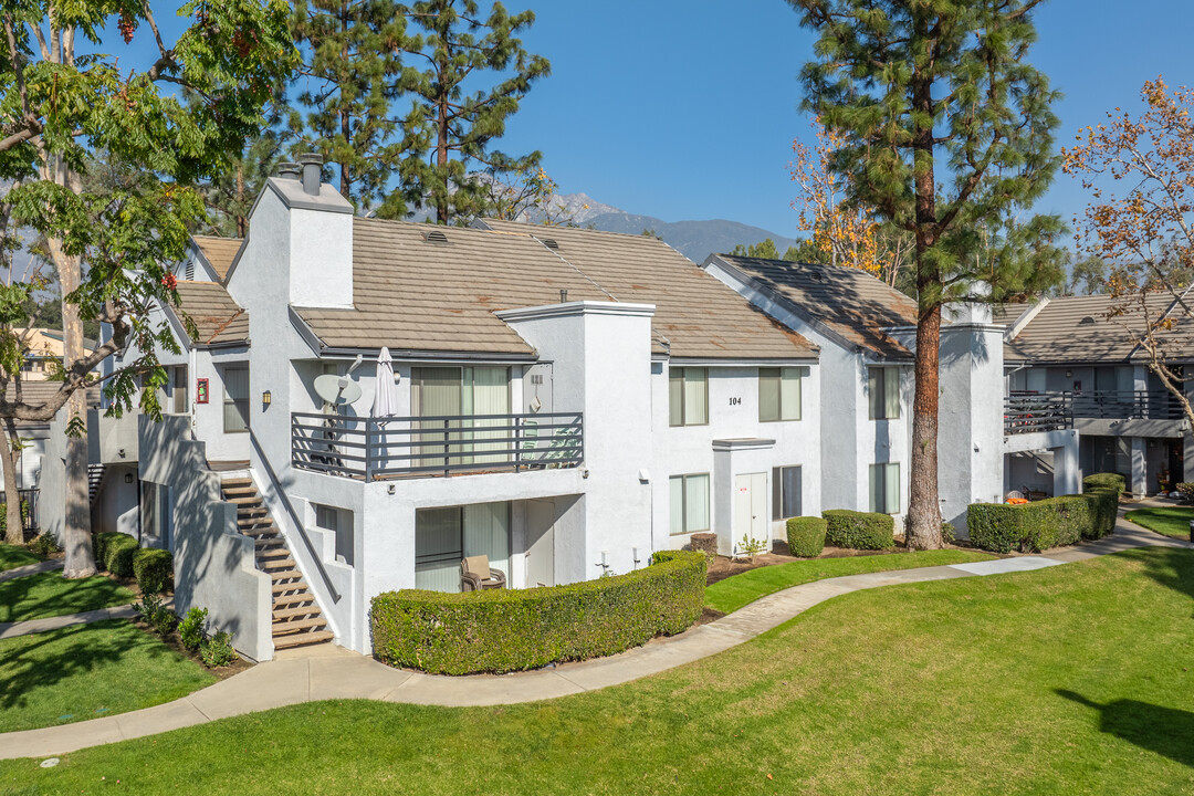 Lomita Court in Rancho Cucamonga, CA - Building Photo