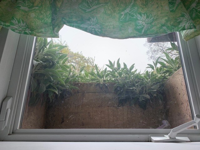 11646 SE 33rd Ave in Milwaukie, OR - Foto de edificio