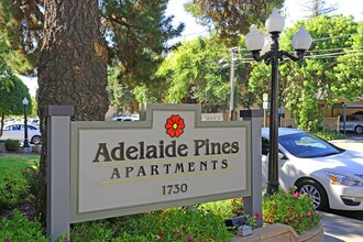 Adelaide Pines in Concord, CA - Foto de edificio - Building Photo
