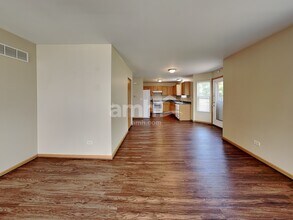 5913 Arbor Gate Dr in Plainfield, IL - Building Photo - Building Photo