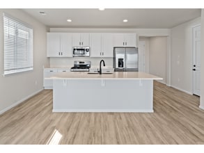 983 Rustling St in Windsor, CO - Building Photo - Building Photo