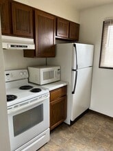 15 N Lawler St, Unit 1 in Emmetsburg, IA - Building Photo - Building Photo