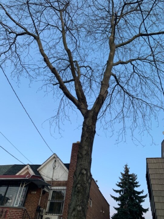 45-45-4159 159th St in Queens, NY - Foto de edificio