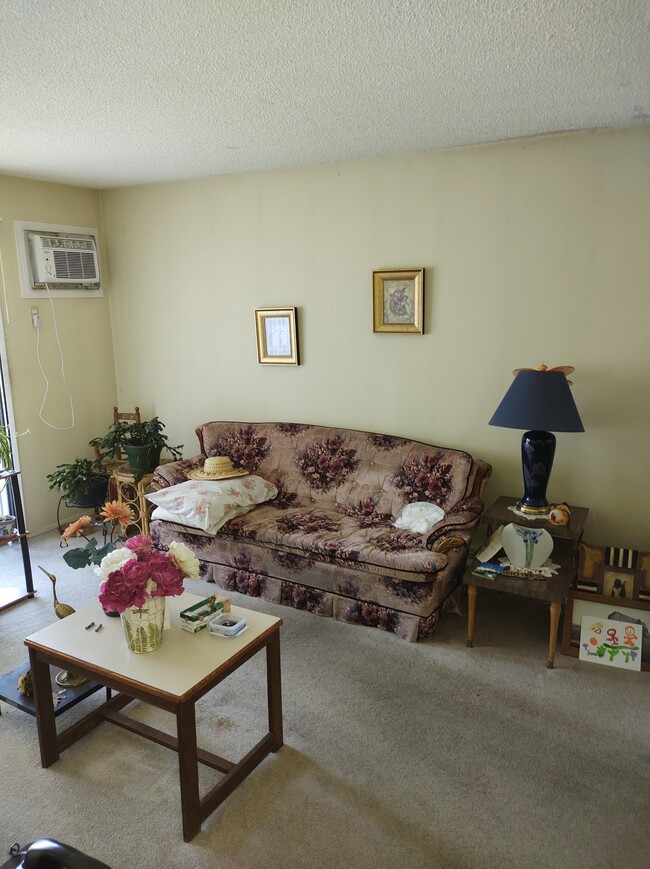 60 Shuswap St N in Salmon Arm, BC - Building Photo - Building Photo