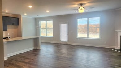 1117 Sunny Vly Ln in Braselton, GA - Building Photo - Building Photo