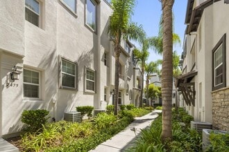 2473 Antlers Way in San Marcos, CA - Foto de edificio - Building Photo