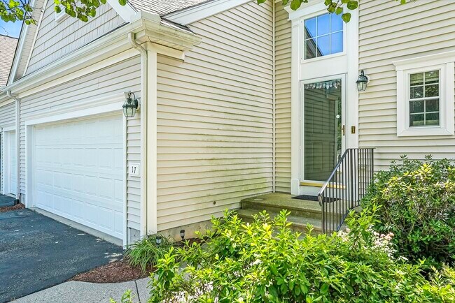 17 Violet Ln in Grafton, MA - Building Photo - Building Photo
