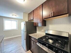 533 W Surf St in Chicago, IL - Building Photo - Building Photo