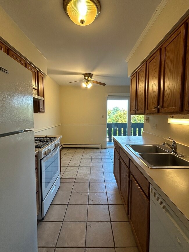 1077 Dickens Way in Schaumburg, IL - Building Photo - Building Photo