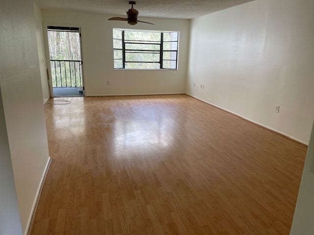 11550 Baywood Meadows Dr in New Port Richey, FL - Building Photo - Building Photo