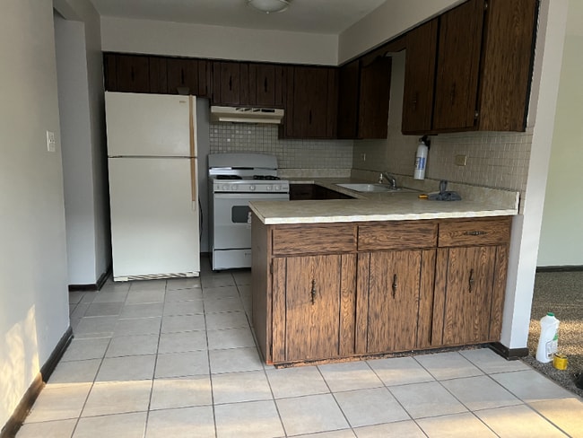 14631 Lamon Ave in Midlothian, IL - Building Photo - Building Photo