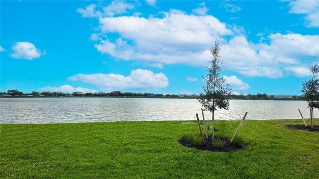 17433 Savory Mist Cir in Lakewood Ranch, FL - Building Photo - Building Photo