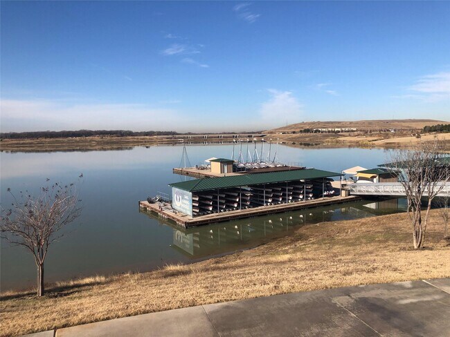 1305 Black Walnut Ln in Arlington, TX - Building Photo - Building Photo