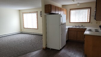 1043 13th St N in Benson, MN - Building Photo