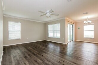 1918 Peaceful Palm St in Ruskin, FL - Building Photo - Building Photo