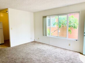 804 Jamaica Ct in San Diego, CA - Building Photo - Building Photo