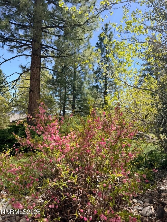 16770 Mt Rose Hwy in Reno, NV - Building Photo - Building Photo