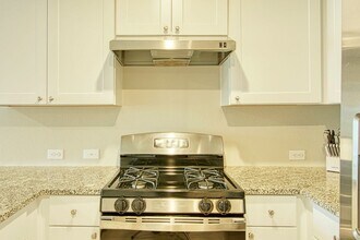 12668 Saverne in Schertz, TX - Building Photo - Building Photo