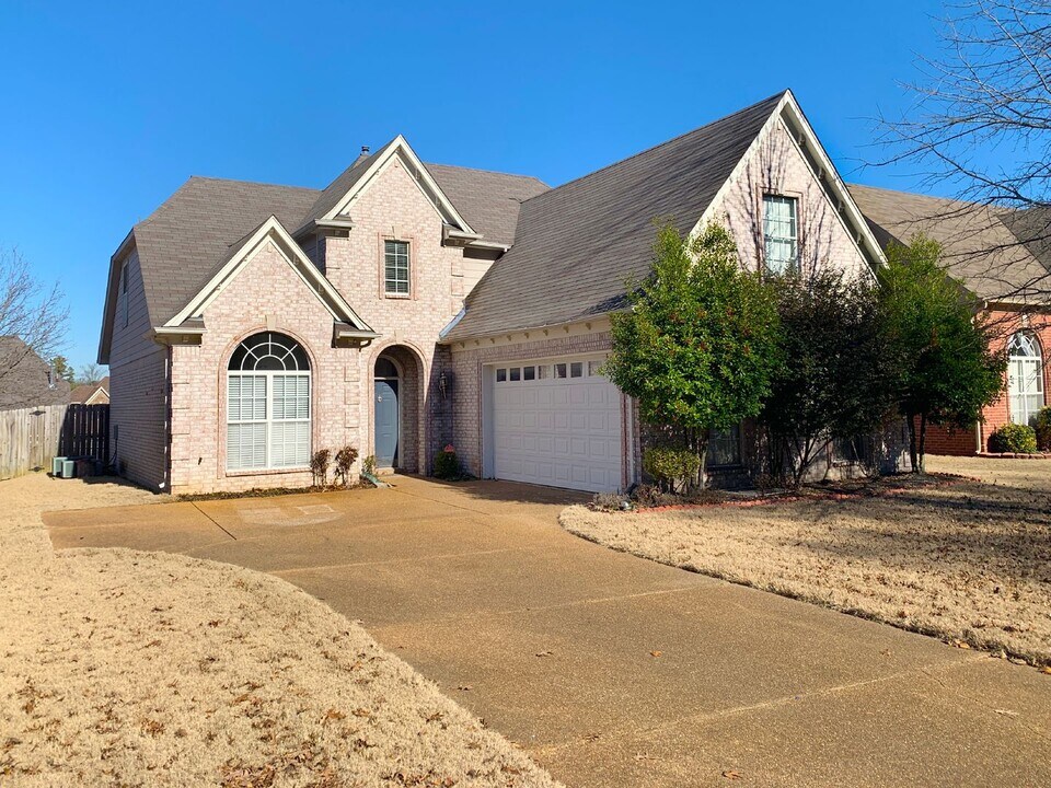 10134 Sutton Ridge Ln in Cordova, TN - Building Photo