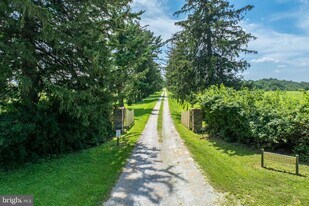 1560 W Doe Run Rd in Kennett Square, PA - Building Photo