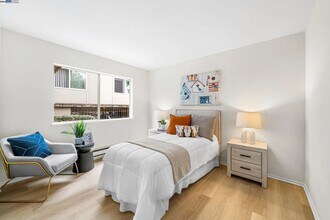 1327 Webster St, Unit B101 in Alameda, CA - Building Photo - Building Photo