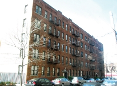 2541 Olinville Ave in Bronx, NY - Foto de edificio - Building Photo