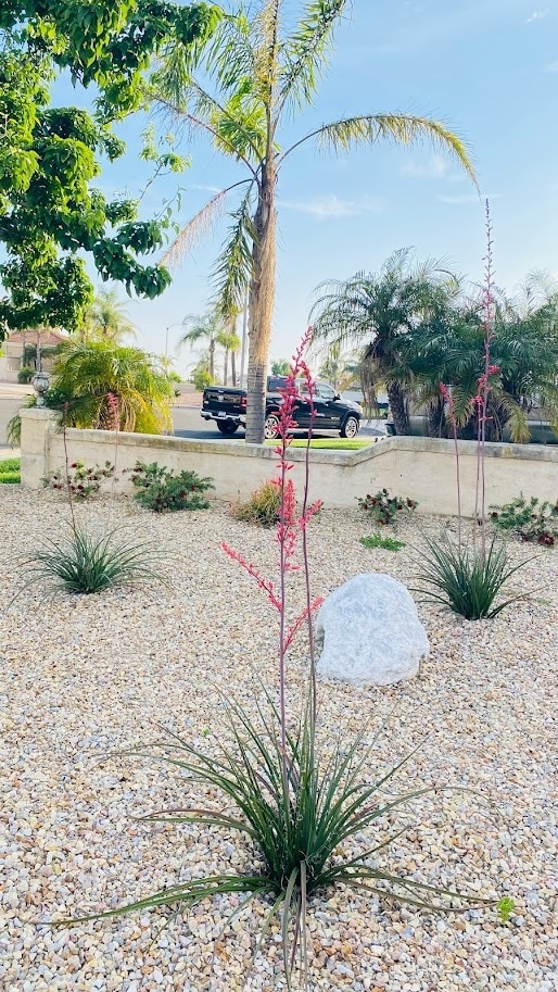 14066 Glendale Ct in Rancho Cucamonga, CA - Building Photo - Building Photo