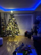 1009 S Kinney Ave in Mt. Pleasant, MI - Building Photo - Building Photo