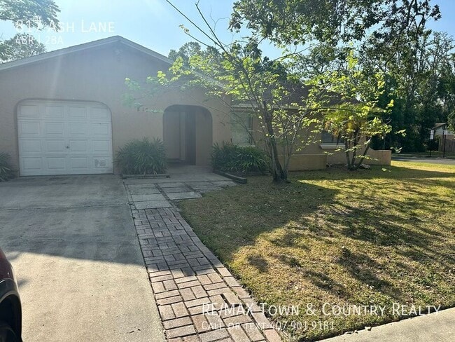 property at 817 Ash Ln