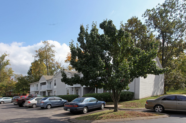 Stuart Hall Apartments in Murfreesboro, TN - Building Photo - Building Photo