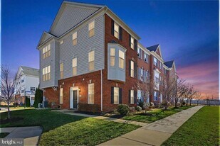 23445 Millville Woods Square in Ashburn, VA - Building Photo