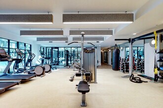 Alta Purl in Charlotte, NC - Building Photo - Interior Photo