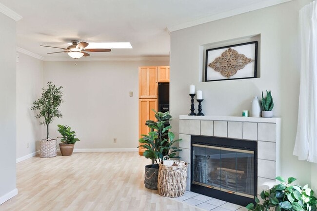 4575 Contour Blvd in San Diego, CA - Building Photo - Building Photo