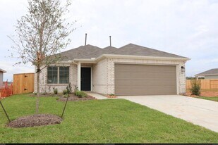 333 Birch Blossom Path in Magnolia, TX - Building Photo
