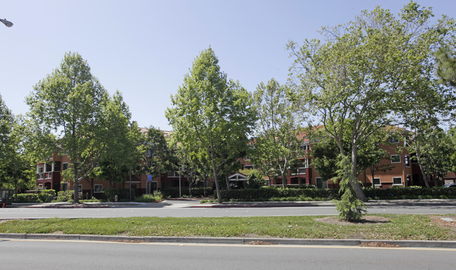 Rosewood Terrace in Union City, CA - Building Photo - Building Photo