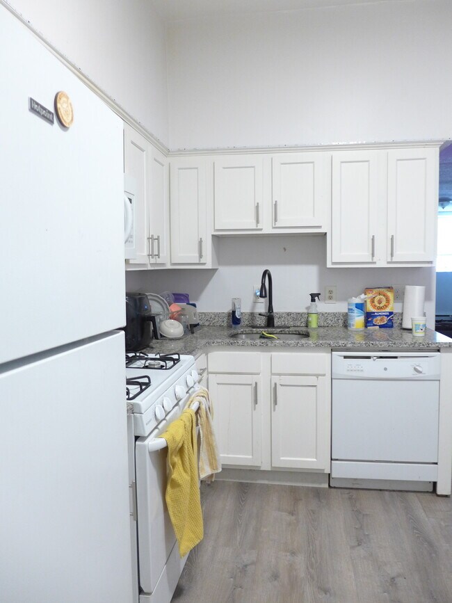 31 Gay Head St, Unit 1 in Boston, MA - Building Photo - Building Photo