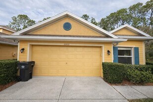 20428 Harvest Oak Ct in Tampa, FL - Building Photo