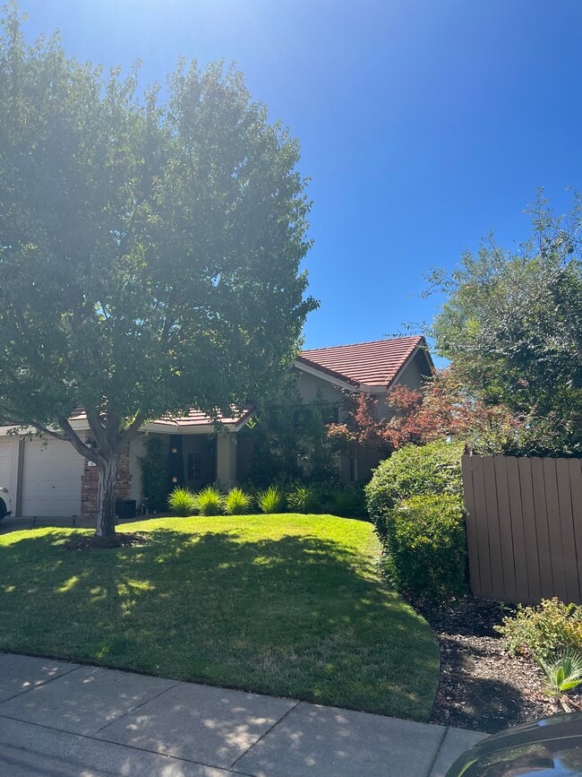 102 Atfield Way in Folsom, CA - Building Photo - Building Photo