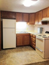 Elkview Apartments in Princeton, WV - Building Photo - Building Photo