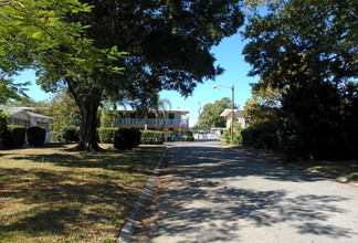 Camelot Apartments in St. Petersburg, FL - Building Photo - Building Photo