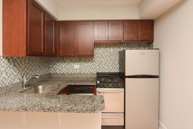 448 W Barry Ave in Chicago, IL - Building Photo - Building Photo
