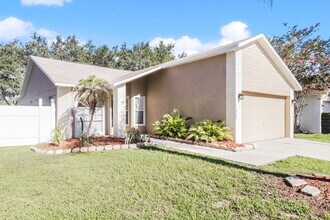 1253 Salt Clay Ct in Wesley Chapel, FL - Building Photo - Building Photo