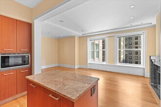 159 E Walton Pl in Chicago, IL - Building Photo - Building Photo