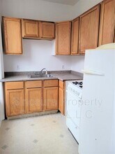 250 Lark St in Albany, NY - Building Photo - Building Photo