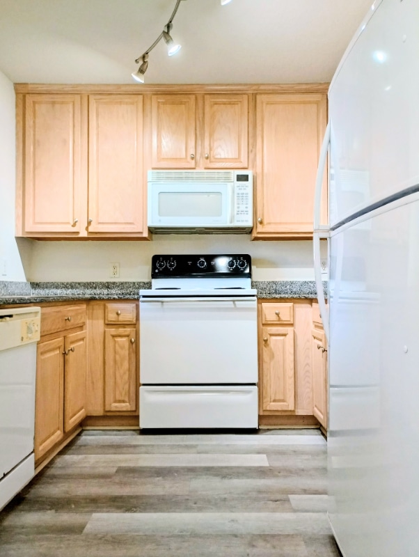 3870 Island Way in St. Petersburg, FL - Building Photo - Building Photo