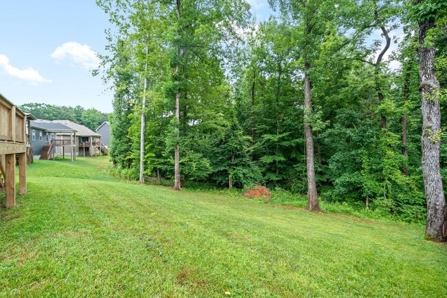 1169 Old Charlotte Trace in Clarksville, TN - Building Photo - Building Photo