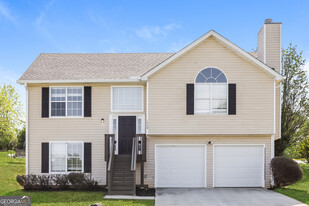 1049 Misty Meadows Ln in Hampton, GA - Building Photo
