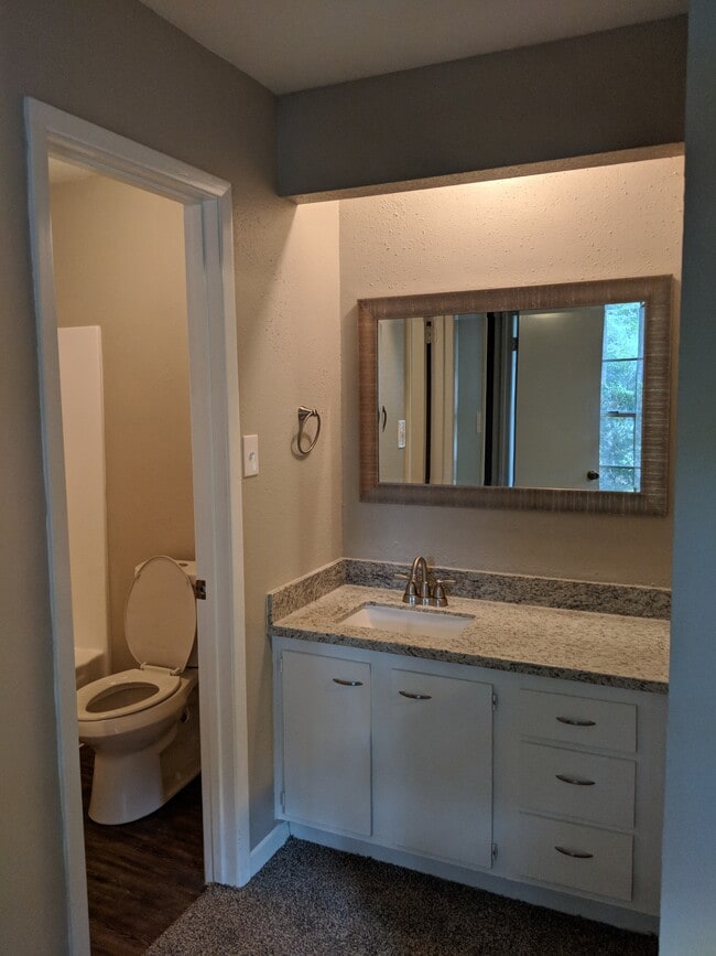 26 W Broken Oak in The Woodlands, TX - Building Photo - Building Photo