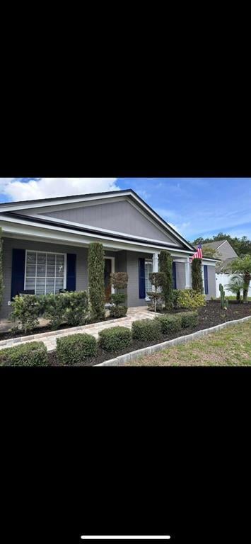 4706 Saddle Creek Pl in Orlando, FL - Building Photo - Building Photo