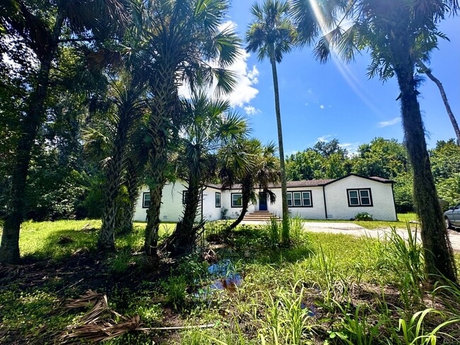 2325 Salt Creek Trail in Oviedo, FL - Foto de edificio - Building Photo